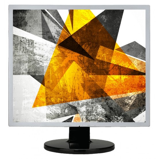 Monitor LCD AOC e719sda