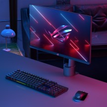 Monitor LCD ASUS PG259QNR