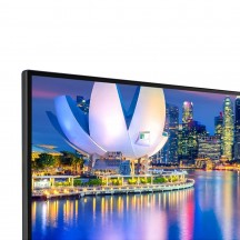 Monitor LCD LG 29WP500-B