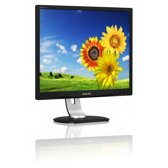 Monitor LCD Philips 19P4QYEB/00