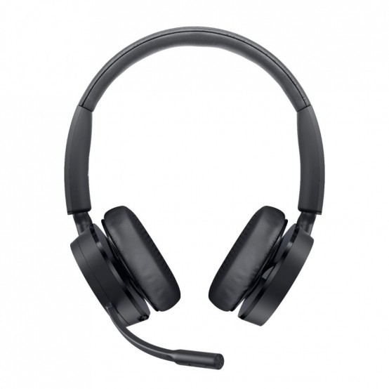 Casca Dell WL5022 520-AATM