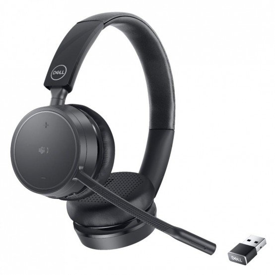 Casca Dell WL5022 520-AATM