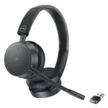 Casca Dell WL5022 520-AATM
