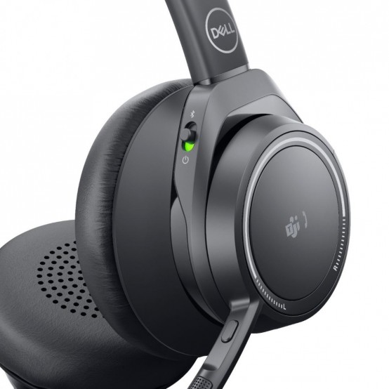 Casca Dell WL7022 520-AATN