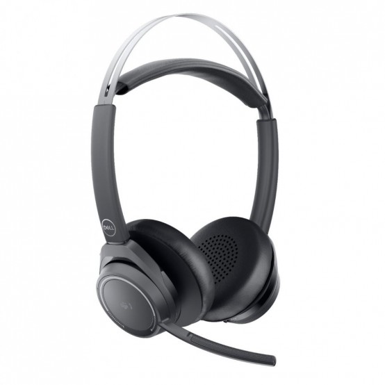 Casca Dell WL7022 520-AATN
