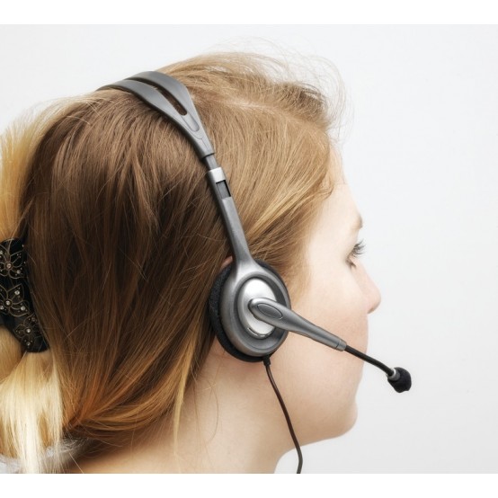 Casca Logitech H111 981-000593
