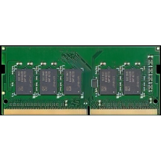 Memorie Synology D4ES01-16G