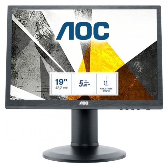 Monitor LCD AOC I960PRDA